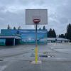 Perforated Steel Backboard - Image 4