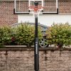 SILVERBACK 60" - Image 2